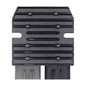 Ricks Hot Shot Lithium ion battery compatible rec-regulator