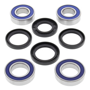 All Balls wheel bearing kit, rear