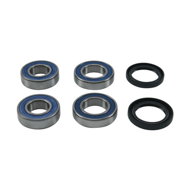 All Balls wheel bearing kit, rear