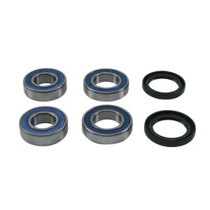 All Balls wheel bearing kit, rear