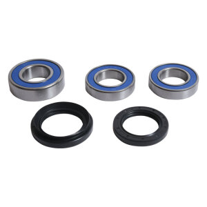 All Balls wheel bearing kit, rear