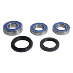 All Balls wheel bearing kit, rear