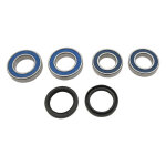 All Balls wheel bearing kit, rear