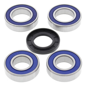 All Balls wheel bearing kit, rear