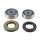 All Balls wheel bearing kit, rear