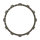 TRW clutch plate kit, frictions discs