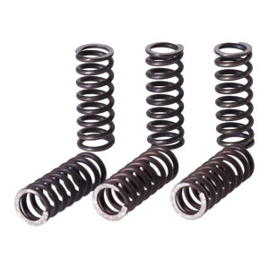TRW clutch spring kit