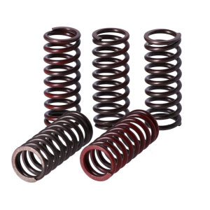 TRW clutch spring kit
