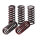 TRW clutch spring kit