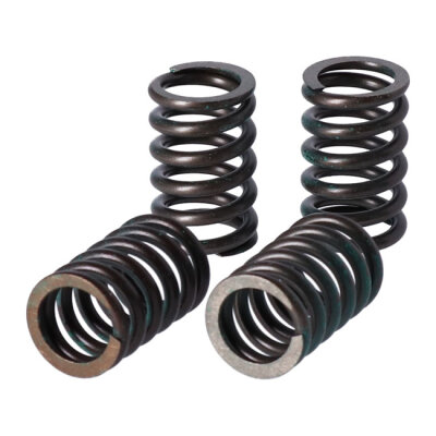 TRW clutch spring kit