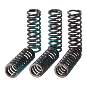 TRW clutch spring kit