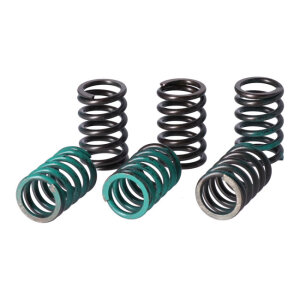 TRW clutch spring kit