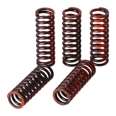 TRW clutch spring kit