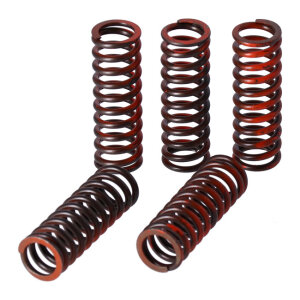 TRW clutch spring kit