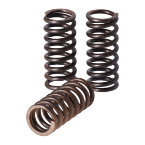 TRW clutch spring kit