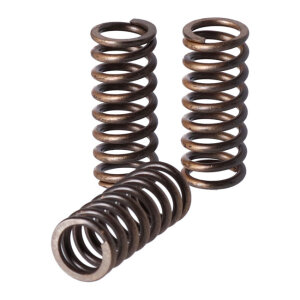 TRW clutch spring kit