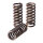 TRW clutch spring kit