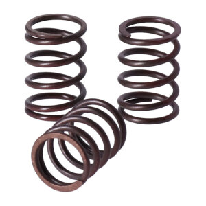 TRW clutch spring kit