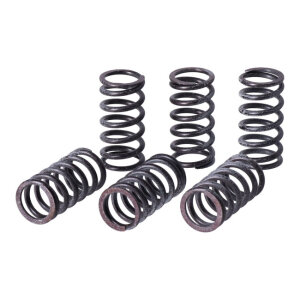 TRW clutch spring kit