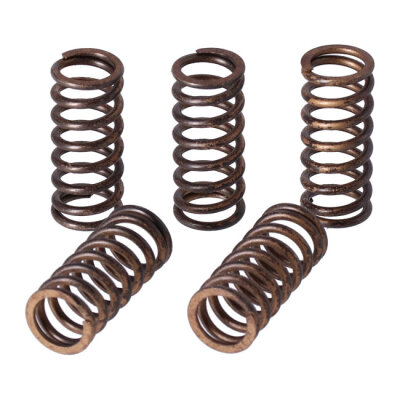 TRW clutch spring kit