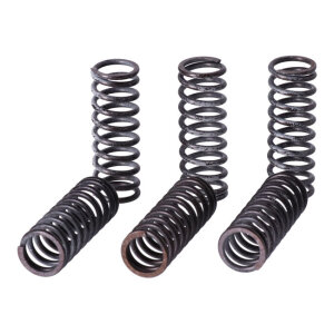 TRW clutch spring kit