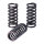 TRW clutch spring kit