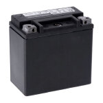 MCS, advance series - AGM sealed battery. 12v, 12ah, 220cca inkl. 7,50 Euro Batteriepfand