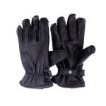 Roeg Jettson gloves black Size L