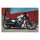 Cult-Werk, Nightster OEM style rear fender. Matte black