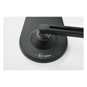 Daytona, D-mirror. Number 5