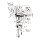 THROTTLE SHAFT, LINKERT