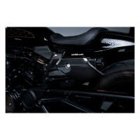 Zard, carbon radiator cover and side panel kit