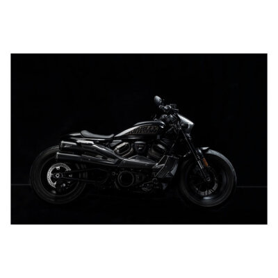 Zard, carbon headlamp fairing kit