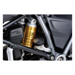 Daytona, master cylinder cover. Rear brake