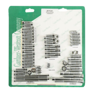 Motor screw set. Polished chrome allen