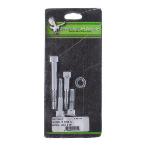 Front brake caliper mount kit