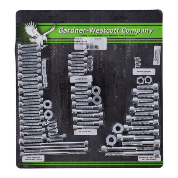Motor screw set, chrome allen