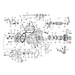 Colony, transmission sprocket nut