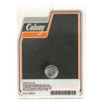 Colony, timing/drain plug. OEM style hex. Chrome