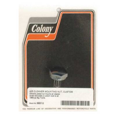 Colony air cleaner cover mount bolt