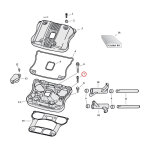 1/4-20 X 1 1/2 INCH ALLEN BOLT CHR. | Lieferumfang: Nur...