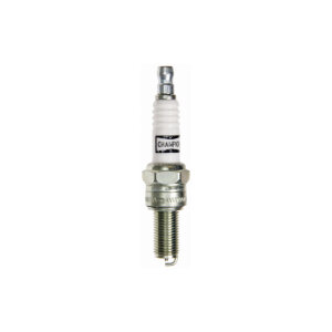 Champion Sparkplug P-RG4HCC | Lieferumfang: Nur ein Teil des abgebildeten Artikels.