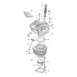 5/16-18 X 3/4 INCH ALLEN BOLT STAINLESS | Lieferumfang:...