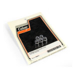 COLONY ACORN NUTS | Lieferumfang: Nur ein Teil des...