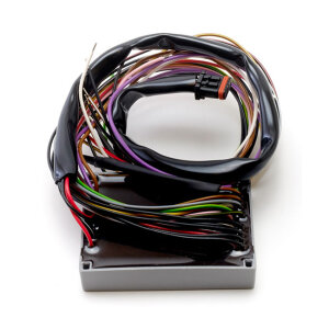 Wannabe Choppers, CanioX Can-bus Controller