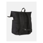 Dickies Ashville backpack black One size fits most