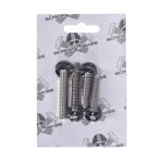 Screws4Bikes, bolt kit, fender struts