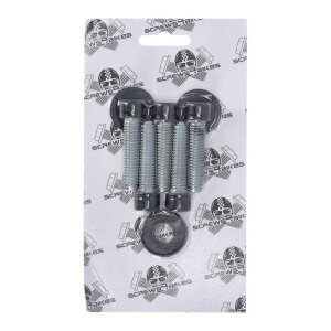 Screws4bikes, bolt kit, pulley