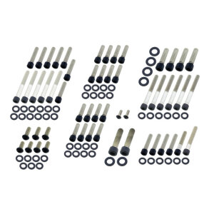 Screws4bikes, engine bolt kit