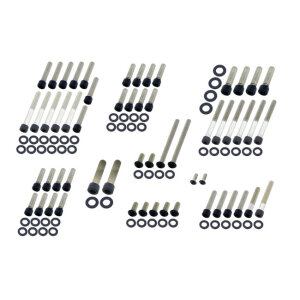 Screws4bikes, engine bolt kit